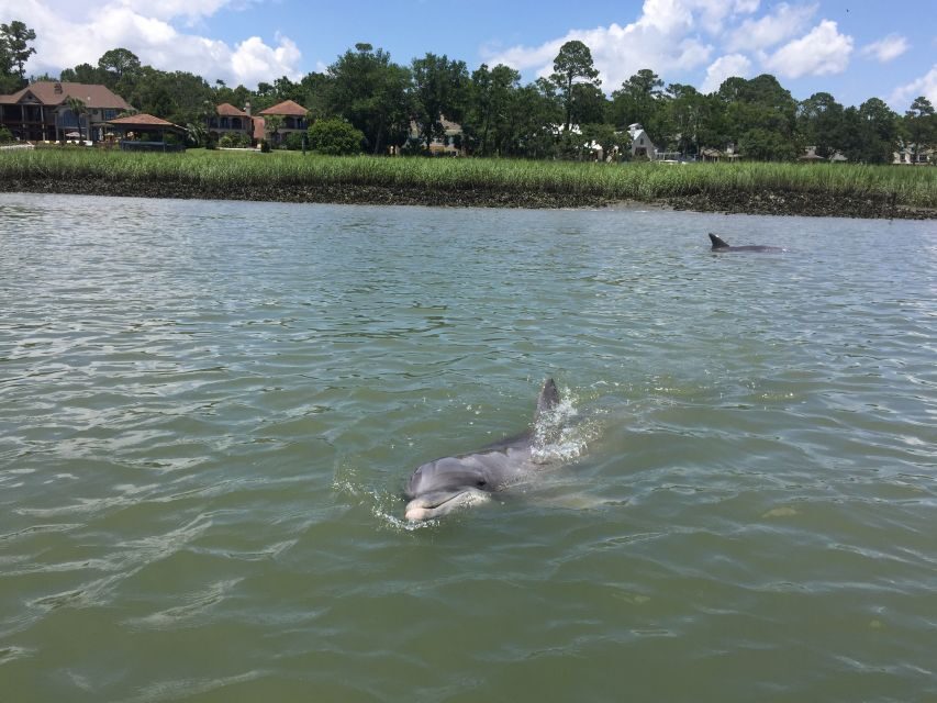 Hilton Head Island: Pontoon Boat Rental - How the Itinerary Unfolds