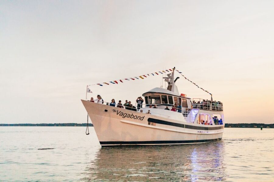 Hilton Head Island: Sunset Dolphin Cruise - Who Will Love This Tour?