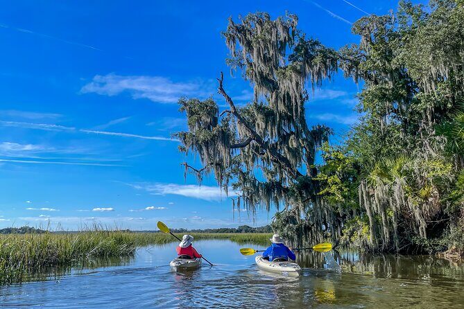 Hilton Head Outback Boat and Kayak Adventure - Why This Tour Offers Real Value