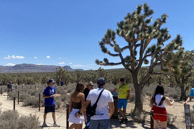Historic Grand Canyon Western Ranch by Bus with Helicopter Tour - Visiting the Grand Canyon Western Ranch
