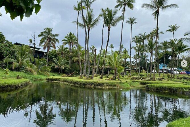 Historic Hilo Bay and Coconut Island Guided Kayak Adventure - Who This Tour Is Perfect For