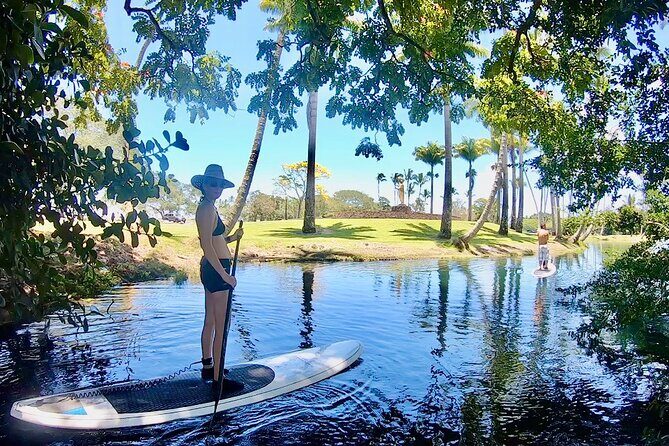 Historic Hilo Bay & Coconut Island SUP Adventure - Who Will Love This Tour?