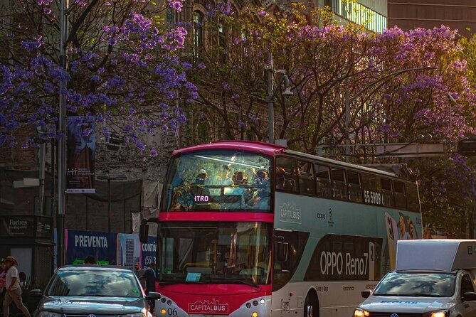 Historic Neighborhoods & Monuments: Hop-On, Hop-Off Mexico City - Conclusions: Is It Worth It?