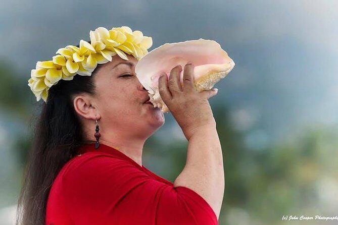 Historical Dinner Cruise to Kealakekua Bay - Who Will Love This Tour?