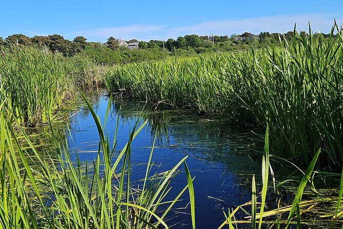 Historical Tour of Nantucket - Who Should Consider This Tour?