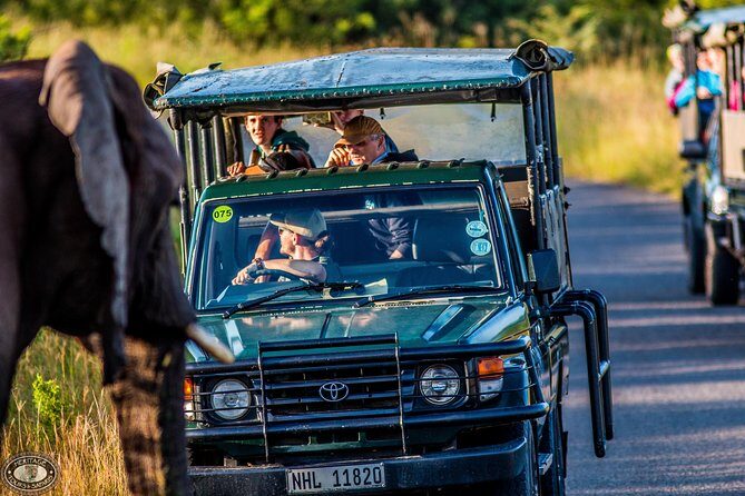 Hluhluwe-Imfolozi Park Full Day Big 5 Safari Tour - Who Is This Tour Best For?