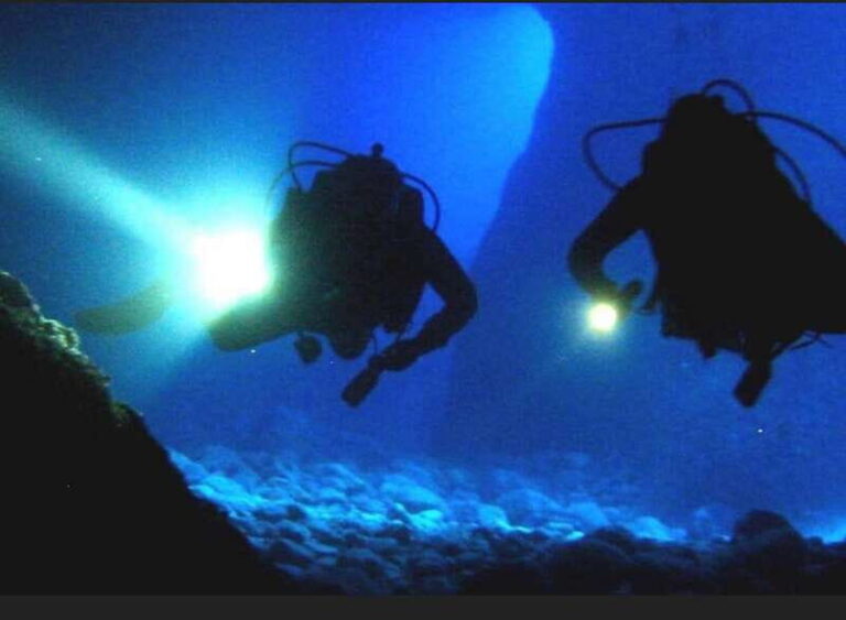 Hol Chan Marine Park night dive - Logistics and Practicalities