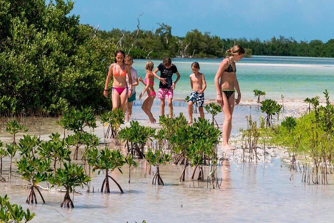 Holbox and Passion Island Full-Day Tour with Cenote, Transportation and Lunch - Who Would Love This Tour?