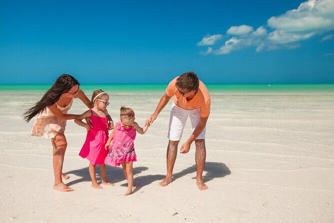Holbox Boat Tour and Golf Cart - The Boat Tour: A Closer Look at Flora and Fauna