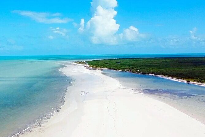 Holbox, Cenote & Isla Pasion from Cancun & Playa del Carmen - Authentic Experiences and Final Thoughts