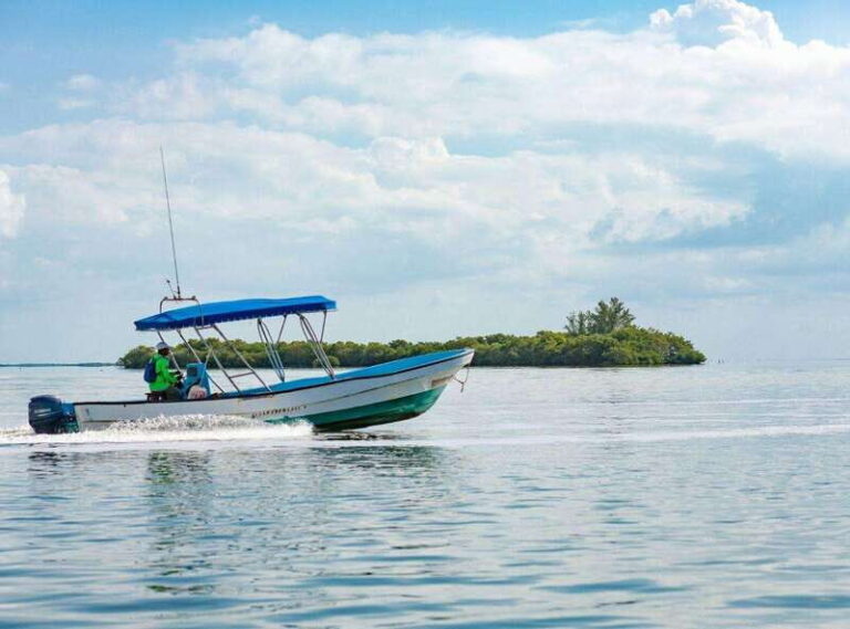 Holbox Discovery: Experience the Authentic Essence, Adventure, Taste and Relaxation - Transportation and Group Size