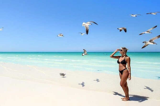 Holbox Exclusive Full Day Tour - Value and Considerations