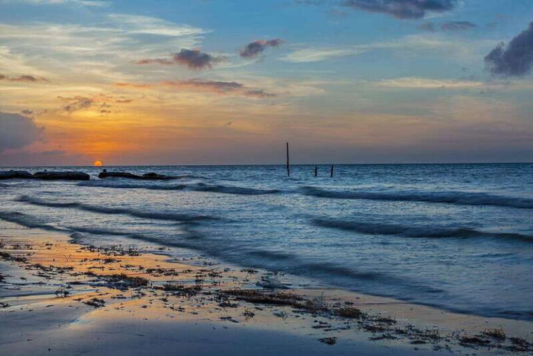 Holbox: Guided Bioluminescence Kayaking Tour - Why This Tour Stands Out