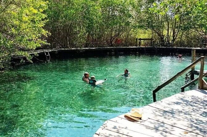 Holbox Island Deluxe Tour, all-day and complete excursion! - Transportation and Logistics