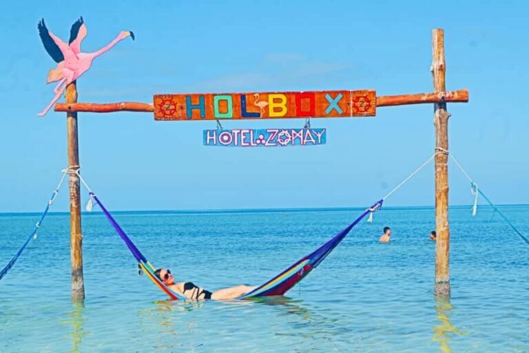 Holbox Island: Feel the Pristine Nature Around You - Transportation and Logistics