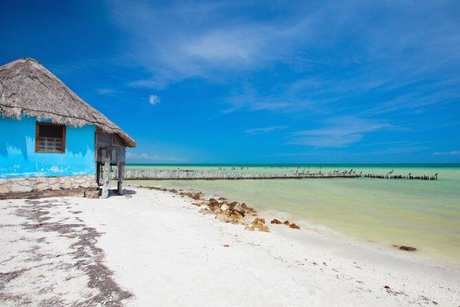 Holbox Island Tour departure from Cancun - What Travelers Say