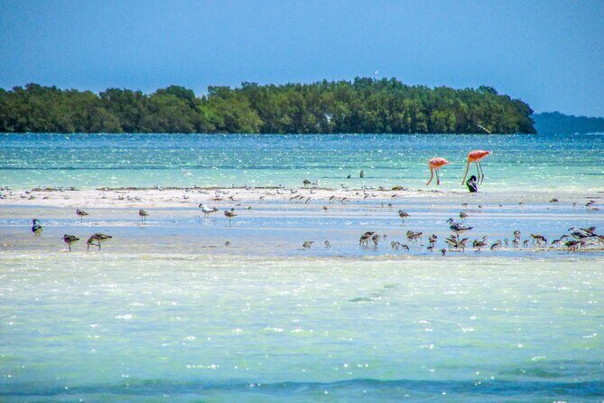 Holbox Island Tour in Mexico with Lunch - The Value of the Tour