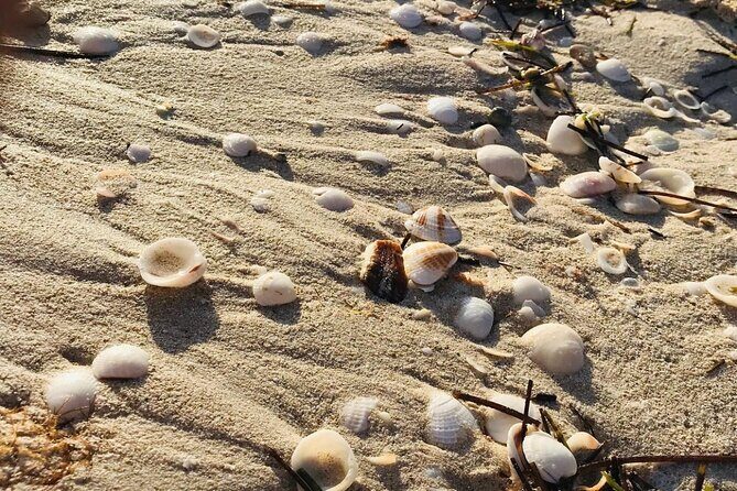 Holbox: Islas Pajaros, Yalahau & Isla de la Pasión with pick up - What’s Included and Whats Not