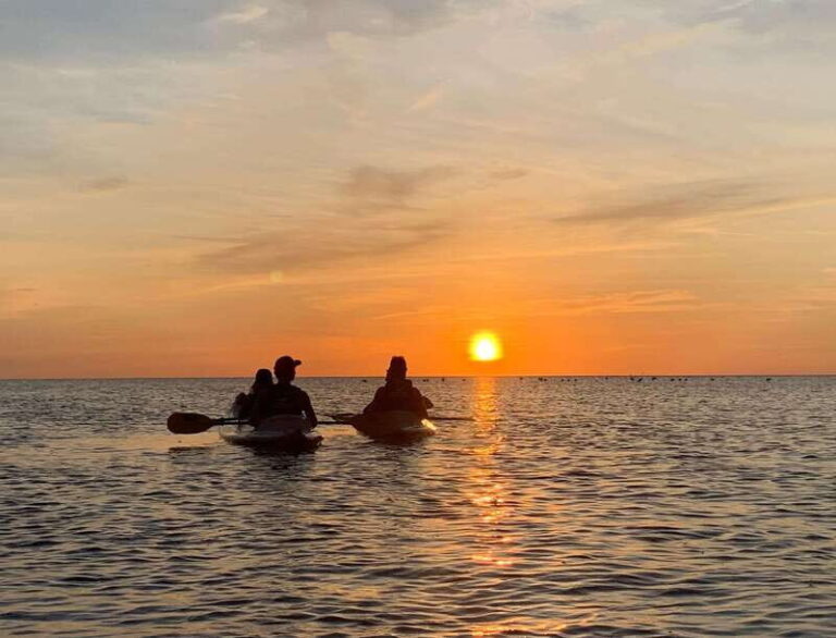 Holbox: Mangrove Sunset Kayak Tour - Practical Details and Logistics
