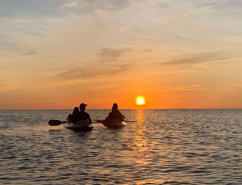 Holbox: Mangrove Sunset Kayak Tour - Practical Details and Logistics