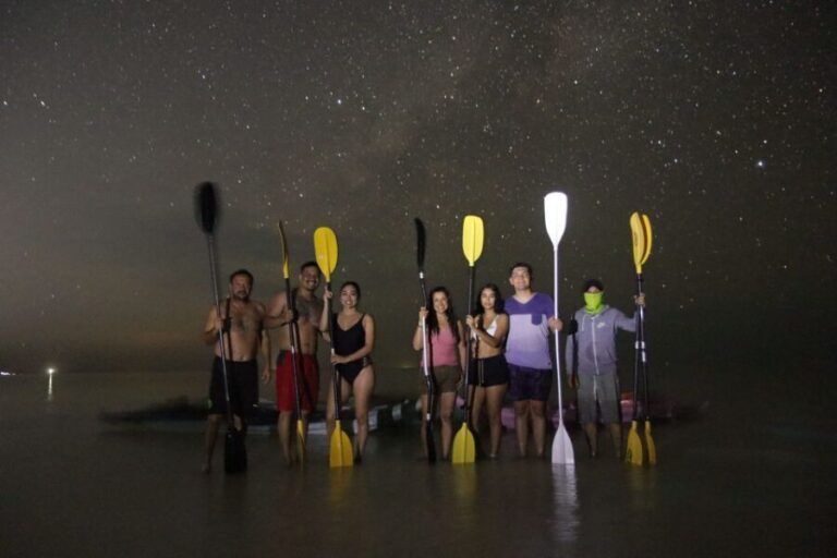 Holbox: Stars and Bioluminescent Marine Life Kayaking Tour - The Sum Up
