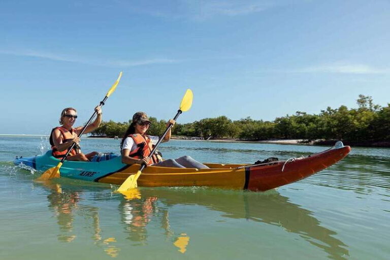 Holbox: Sunrise Kayak Tour through the Mangroves - The Itinerary in Detail