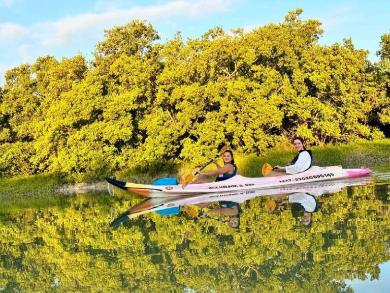 Holbox: Sunrise & Mangrove Kayak Tour - An Authentic Paddling Adventure in Holbox’s Mangroves