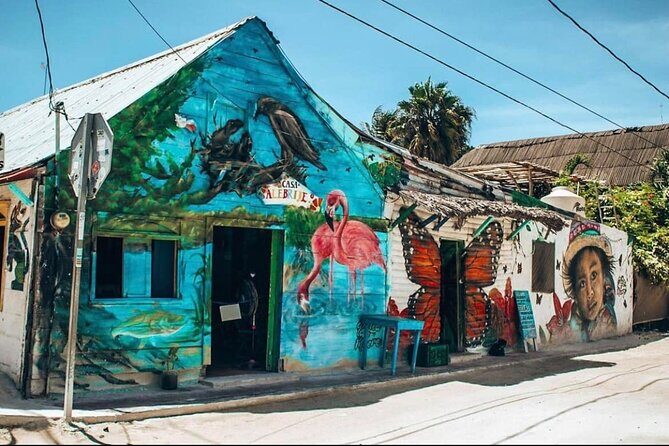 Holbox The Living Dream by boat from Playa del Carmen - Who Should Consider This Tour?
