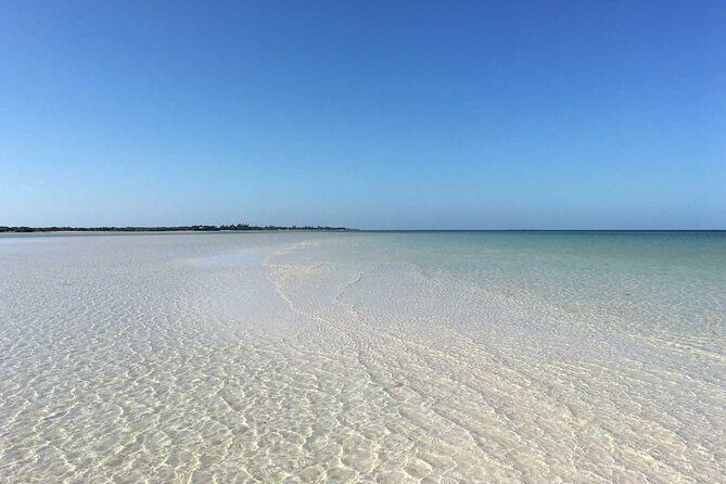 Holbox Tour! Nature Adventure from Cancun & Playa Del Carmen - The Itinerary in Detail: What to Expect