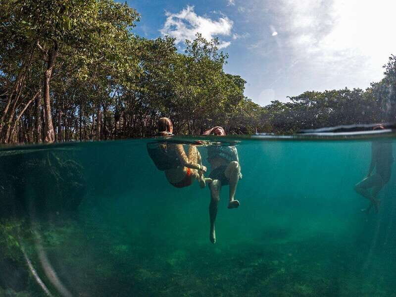 Holbox: Yalahau, Passion Island and Punta Mosquito Boat Tour