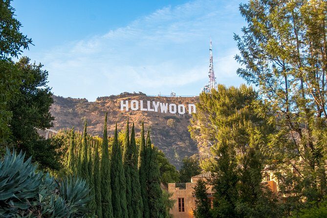 Hollywood and Beverly Hills Tour - Authentic Experiences & Guest Feedback