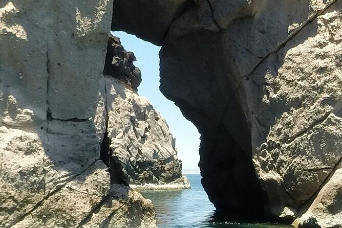 Holy Spirit Island Tour Sea Lions Snorkeling and Beach - Final Thoughts