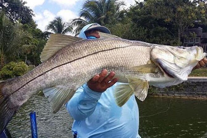 Homosassa Inshore Fishing Charters - Stop 2: Backwaters of Ozello and Crystal River Refuge