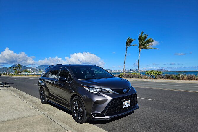 Honolulu Airport, Cruise Port and Waikiki hotels Private Transfer - The Booking and Arrival Process