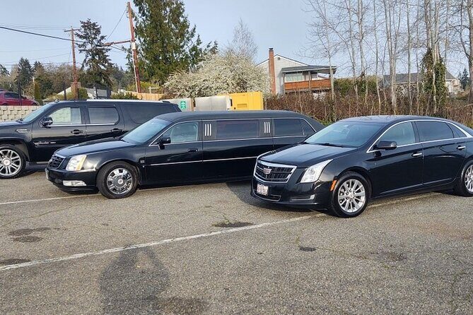 Honolulu Airport HNL to Waikiki-Arrival Private Transfer - Who Should Consider This Transfer?