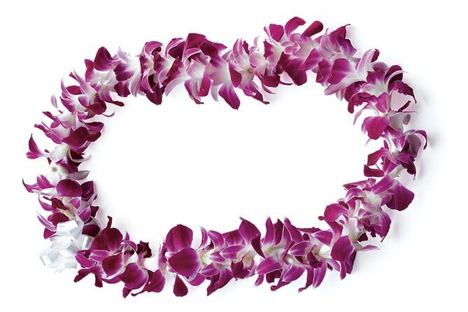 Honolulu Airport: Waikiki Private Transfer With Lei Greeting - What to Expect on Your Journey