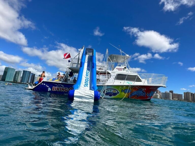 Honolulu: Deluxe Waikiki Snorkel and Wildlife Cruise - Authentic Traveler Perspectives