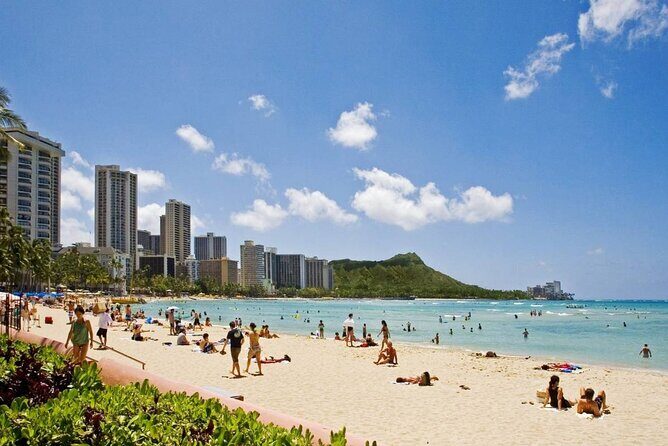 Honolulu HNL Airport Round-Trip Private Transfer in SUV - What to Expect During Your Transfer