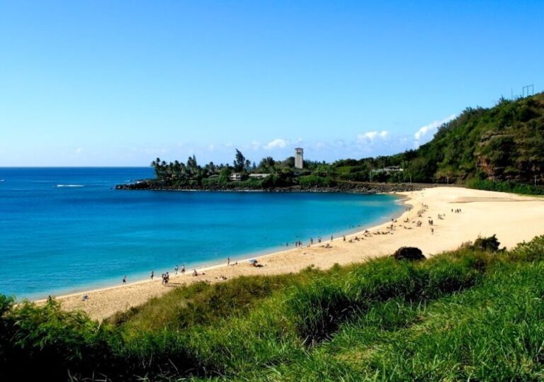 Honolulu: Oahu Island Highlights Tour with Multiple Stops - Who Is This Tour Best For?