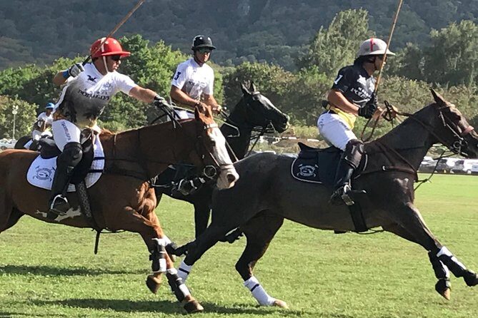 Honolulu Polo Game with Stables Tour and VIP Seats plus Private Island Tour - Introduction