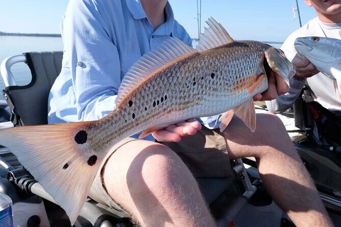 Hooked on the Bayou: New Orleans Kayak Fishing Trips - The Sum Up