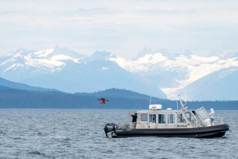 Hoonah: Icy Strait Whale Watch with Drone Filmography - Who Will Love This Tour?