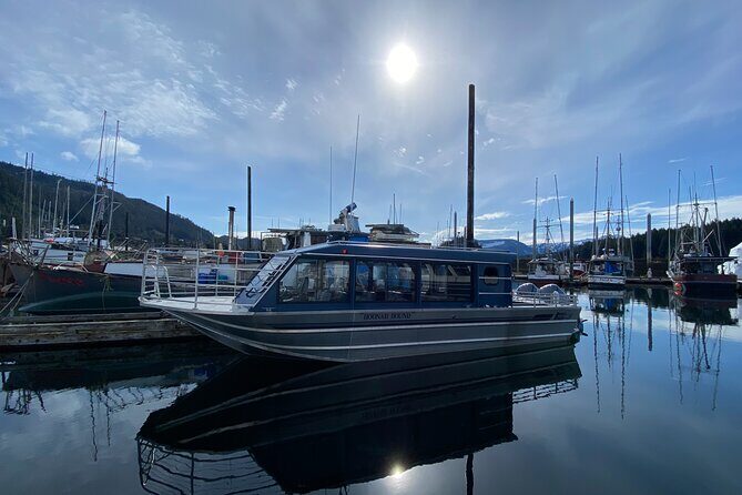 Hoonah Whale-Watching Cruise - Near Icy Strait Point - Price and Value