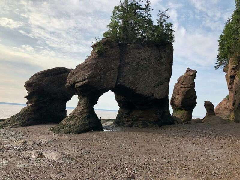 Hopewell Cape: Hopewell Rocks Admission - The Experience in Detail: From Tides to Trails