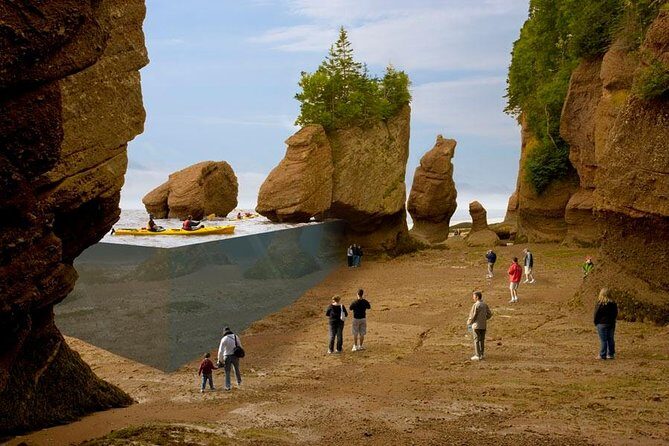 Hopewell Rocks Admission - Is this Tour Worth Your Time?
