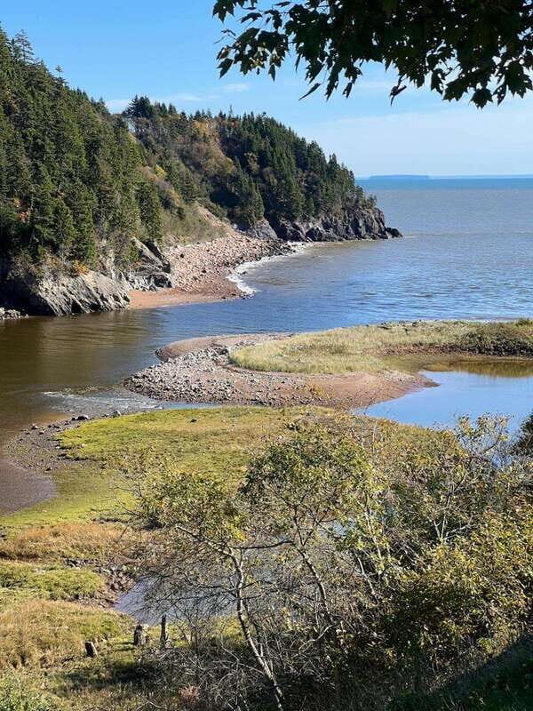 Hopewell Rocks and Fundy National Park Private Tour - What to Expect: An In-Depth Look at the Day