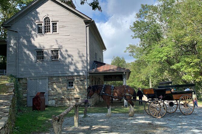 Horse and Carriage Ride through Moses H. Cone Park - Practical Considerations