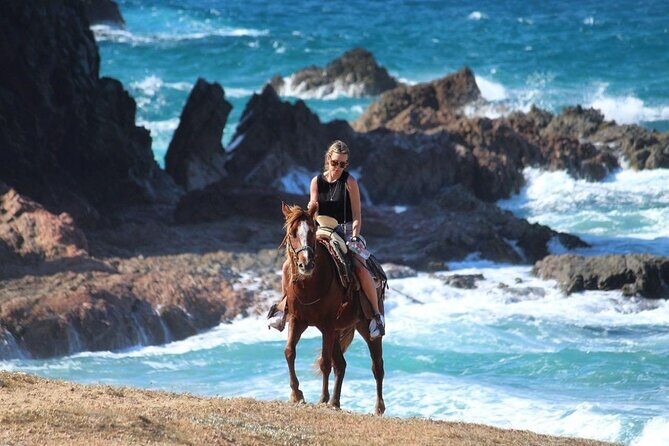 Horse Back Ridding Tour on the Pacific Ocean & Desert - The Highlighted Experiences