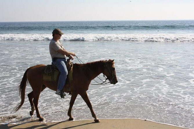 Horse Back Riding With Danitours Montain Rural Areas And Sand Beach - Frequently Asked Questions