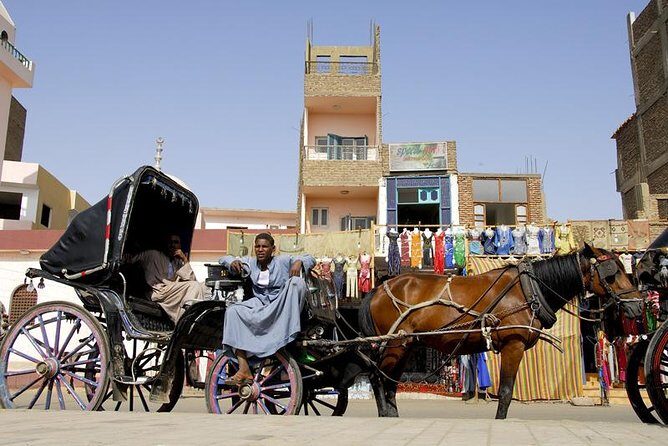 Horse Carriage Ride in Aswan - Visiting the Souk and Traditional Café